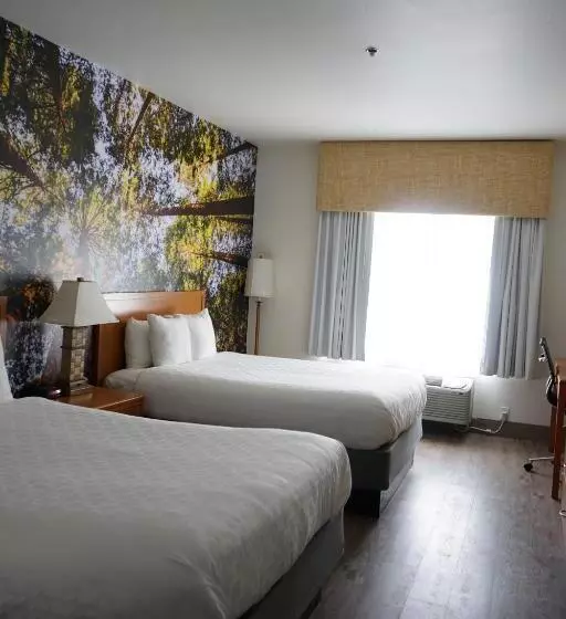 اتاق استاندارد, Comfort Inn Hanford Lemoore