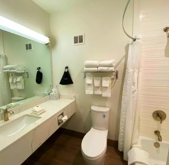 اتاق استاندارد با تخت بزرگ, Comfort Inn Hanford Lemoore