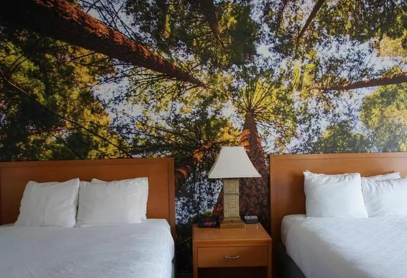 اتاق استاندارد برای معلولان, Comfort Inn Hanford Lemoore