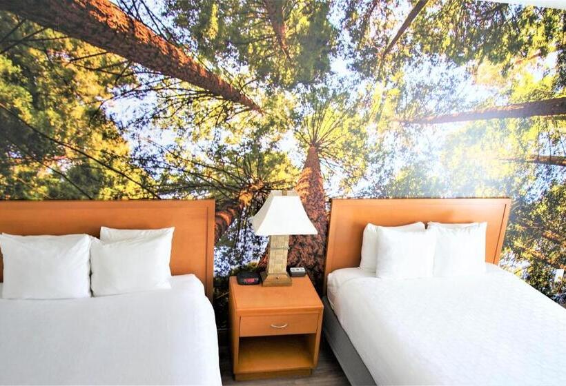 장애인을 위한 스탠다드 룸, Comfort Inn Hanford Lemoore