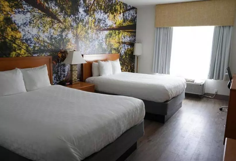 اتاق استاندارد برای معلولان, Comfort Inn Hanford Lemoore