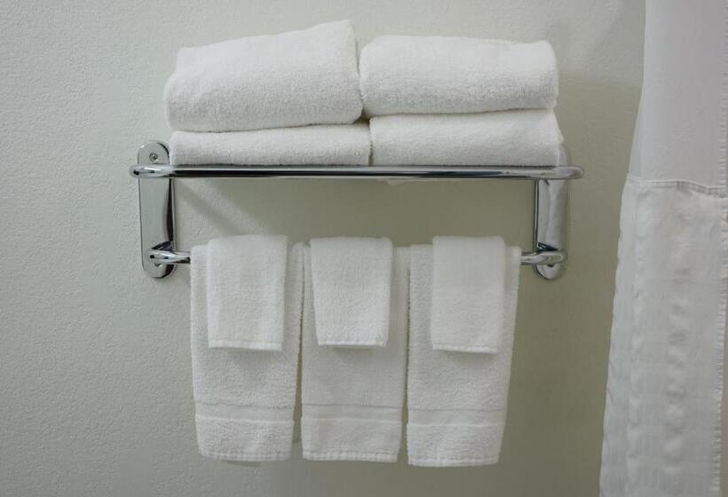 장애인을 위한 스탠다드 룸, Comfort Inn Hanford Lemoore