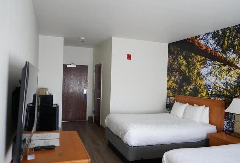장애인을 위한 스탠다드 룸, Comfort Inn Hanford Lemoore