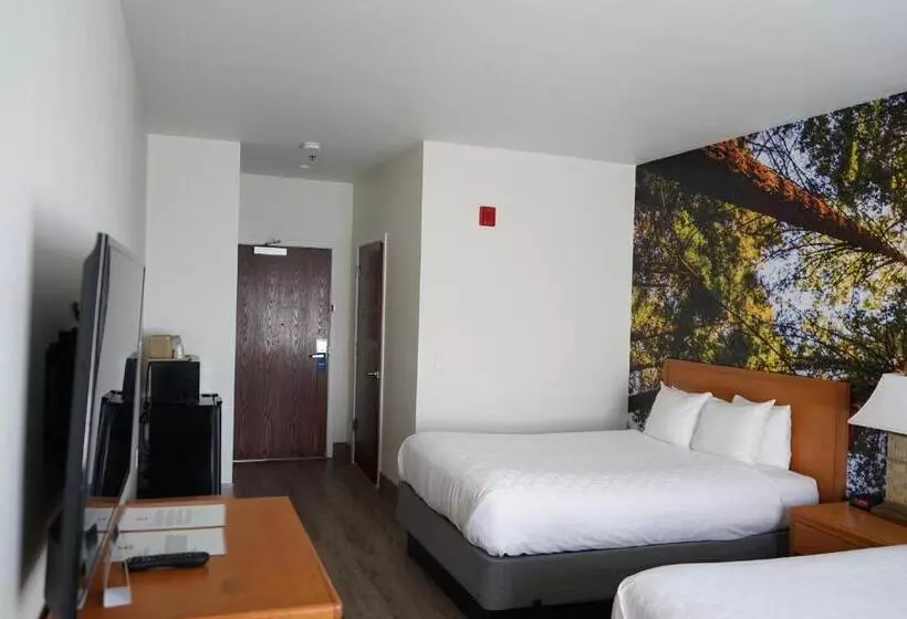 اتاق استاندارد برای معلولان, Comfort Inn Hanford Lemoore