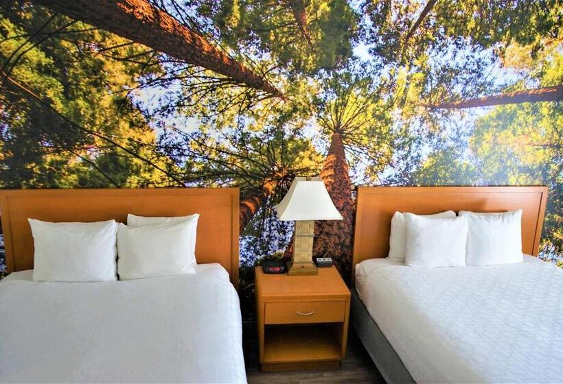 장애인을 위한 스탠다드 룸, Comfort Inn Hanford Lemoore