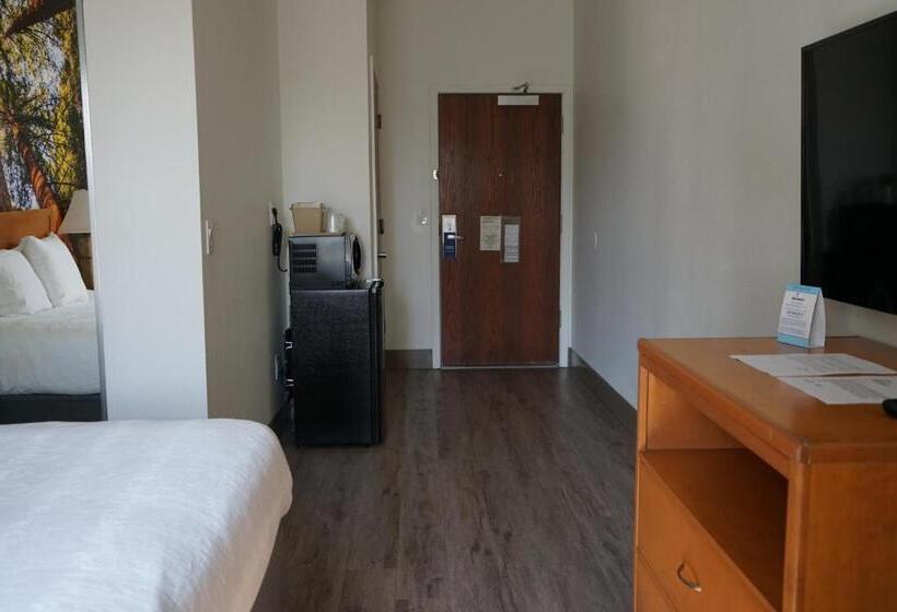 장애인을 위한 킹사이즈 침대 스탠다드 룸, Comfort Inn Hanford Lemoore