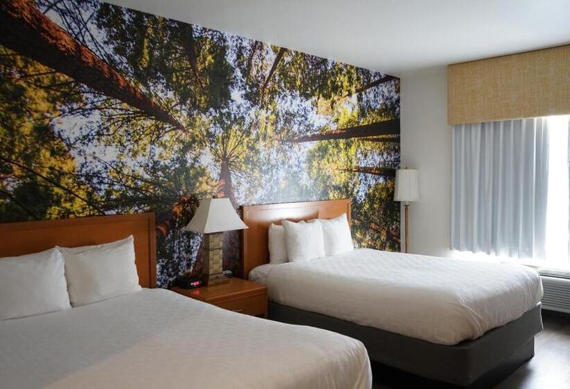 스탠다드 룸, Comfort Inn Hanford Lemoore