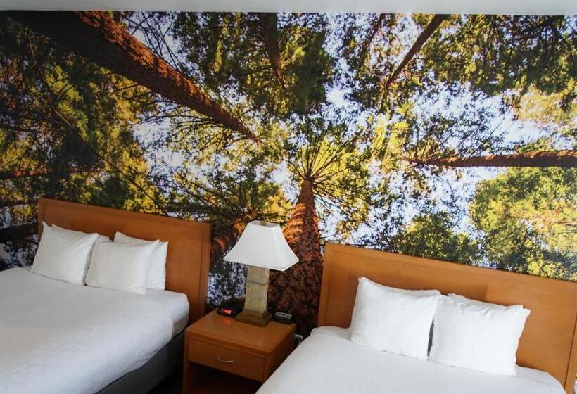 스탠다드 룸, Comfort Inn Hanford Lemoore