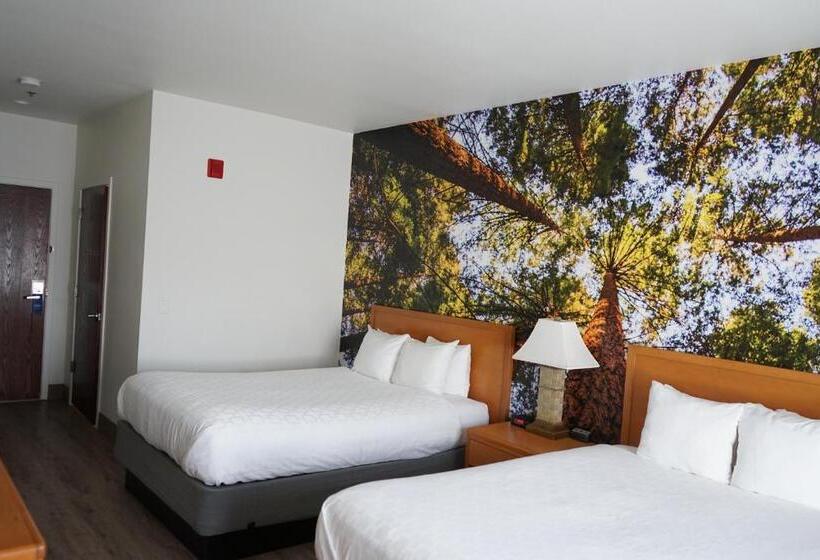 스탠다드 룸, Comfort Inn Hanford Lemoore