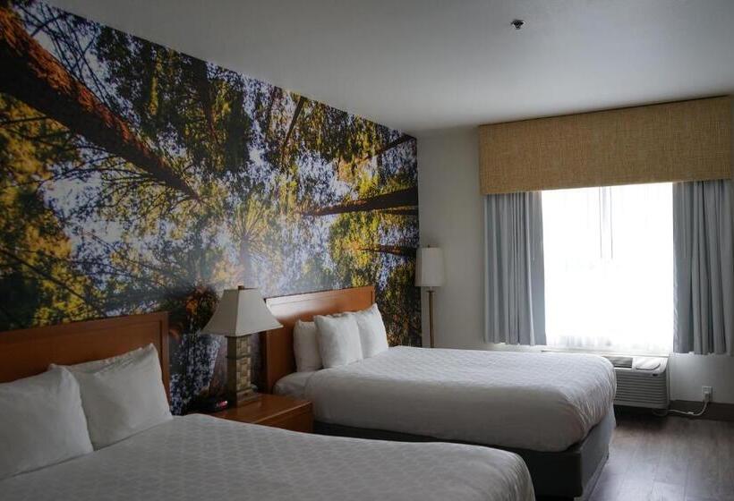 스탠다드 룸, Comfort Inn Hanford Lemoore