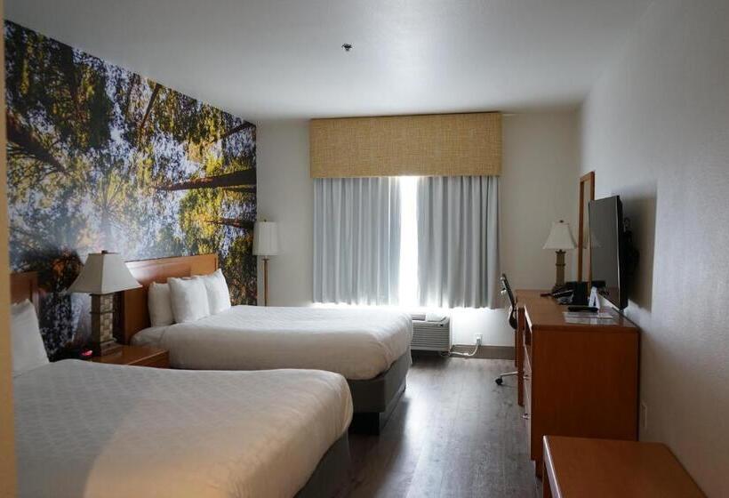 스탠다드 룸, Comfort Inn Hanford Lemoore