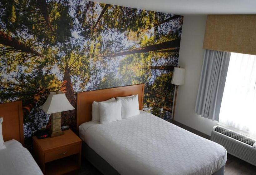 스탠다드 룸, Comfort Inn Hanford Lemoore