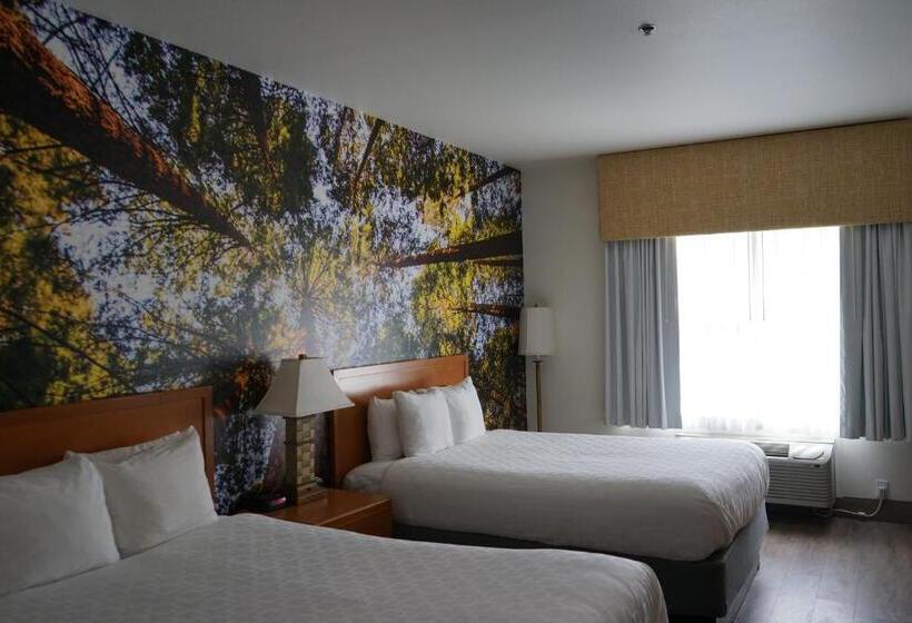 스탠다드 룸, Comfort Inn Hanford Lemoore