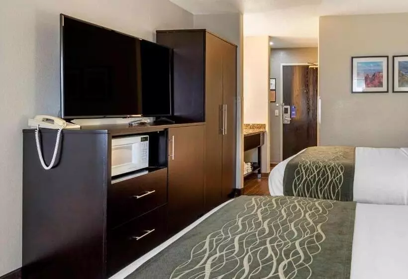 スタンダードルーム, Comfort Inn & Suites