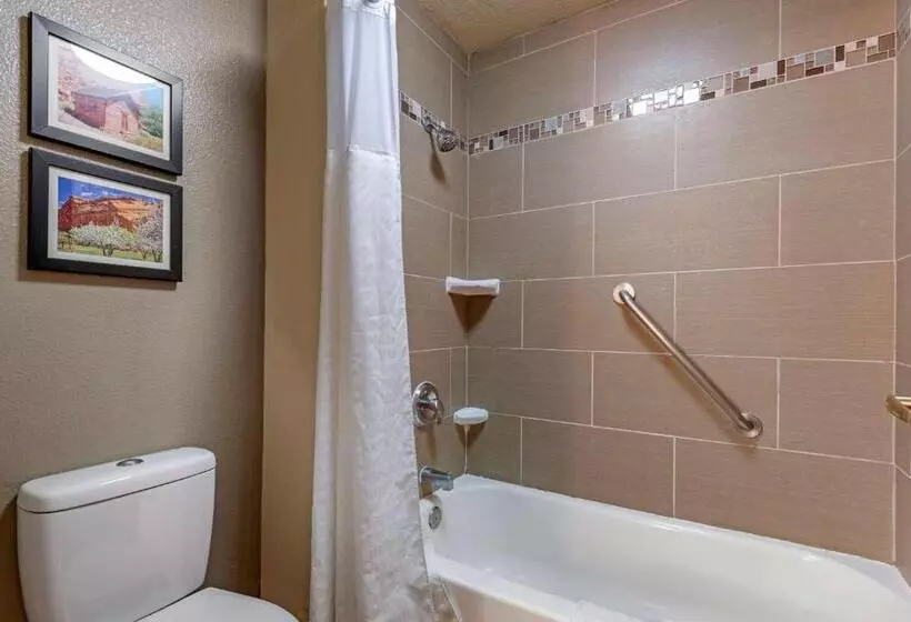 キングサイズベッドのスタンダードルーム, Comfort Inn & Suites