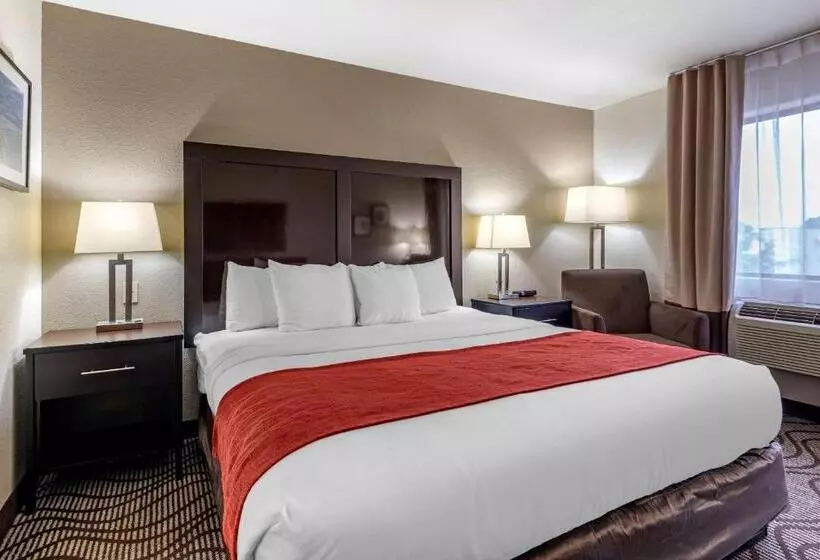 キングサイズベッドのスタンダードルーム, Comfort Inn & Suites