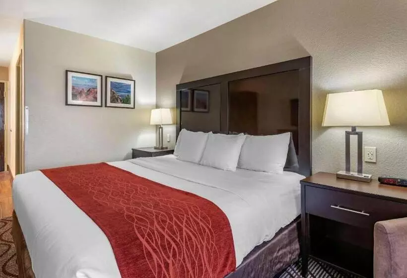 キングサイズベッドのスタンダードルーム, Comfort Inn & Suites