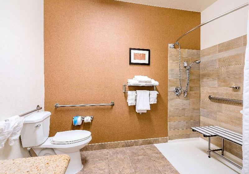 Suite Łóżko King Size, Comfort Suites Golden West On Evergreen Parkway