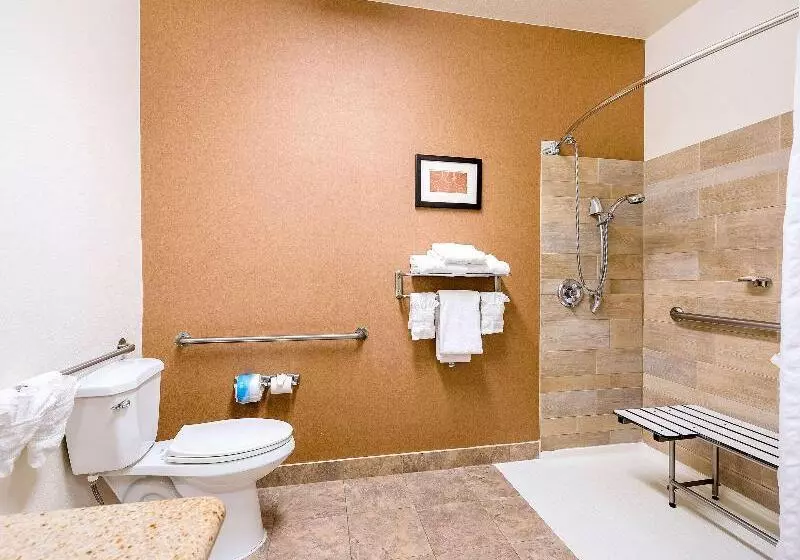 キングサイズベッドのスイートルーム, Comfort Suites Golden West On Evergreen Parkway