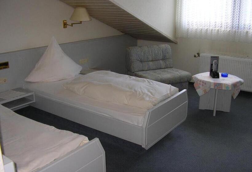 スタンダードルーム, Flair Hotel Landgasthof Roger