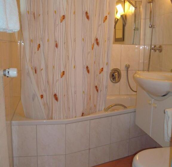 スタンダードシングルルーム, Flair Hotel Landgasthof Roger