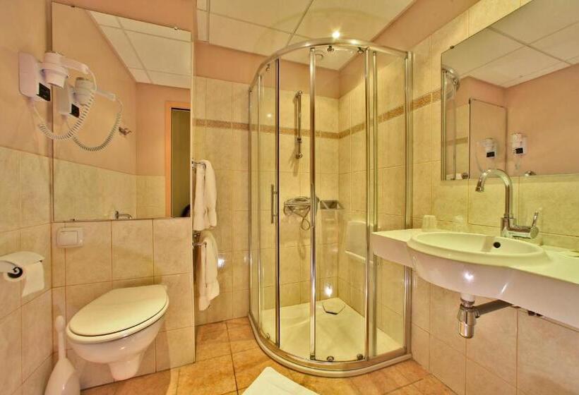 Номер Стандарт Трехместный, Logis Hôtel Le Lion D Or