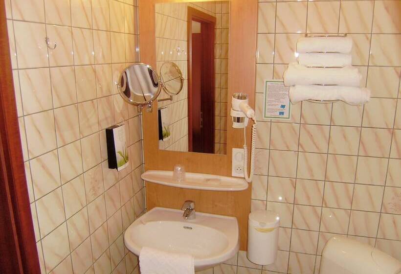 Номер Economy Индивидуальный, Auberge Des Mésanges