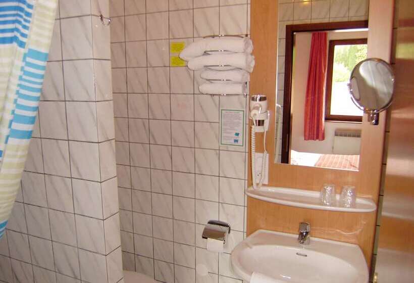 Номер Economy Индивидуальный, Auberge Des Mésanges