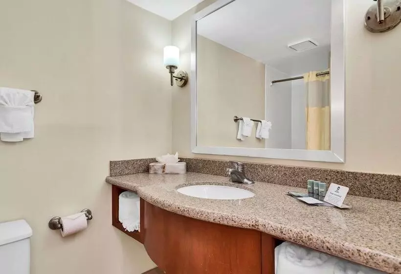 Deluxe-huone, Best Western Orlando Gateway