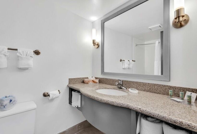 חדר דלוקס, Best Western Orlando Gateway