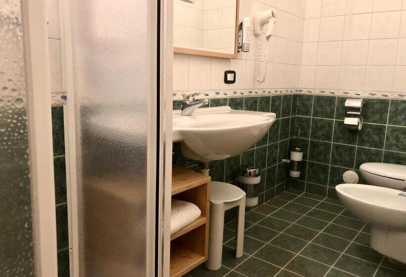 غرفة قياسية فردية, Domina Parco Dello Stelvio