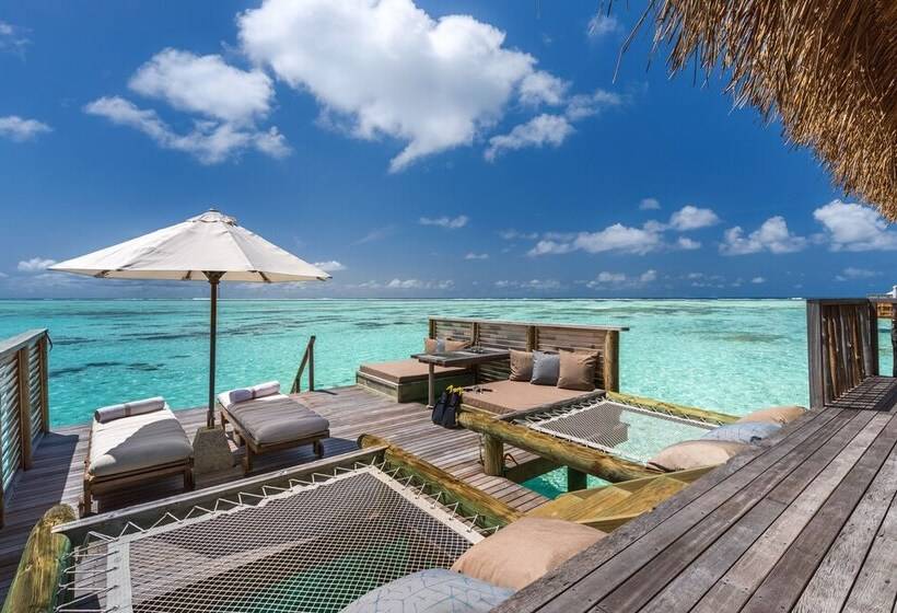 اتاق استاندارد, Gili Lankanfushi Maldives