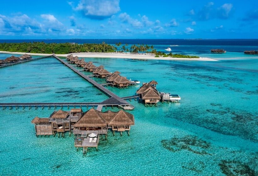 اتاق استاندارد, Gili Lankanfushi Maldives