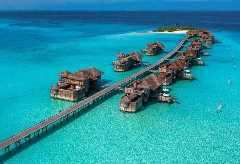 ویلای 1 خوابه, Gili Lankanfushi Maldives