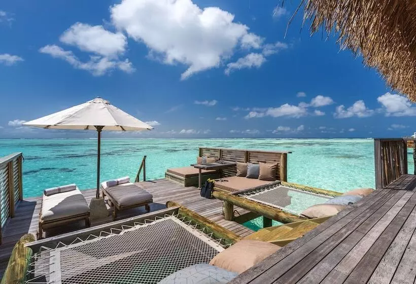 اتاق استاندارد, Gili Lankanfushi Maldives