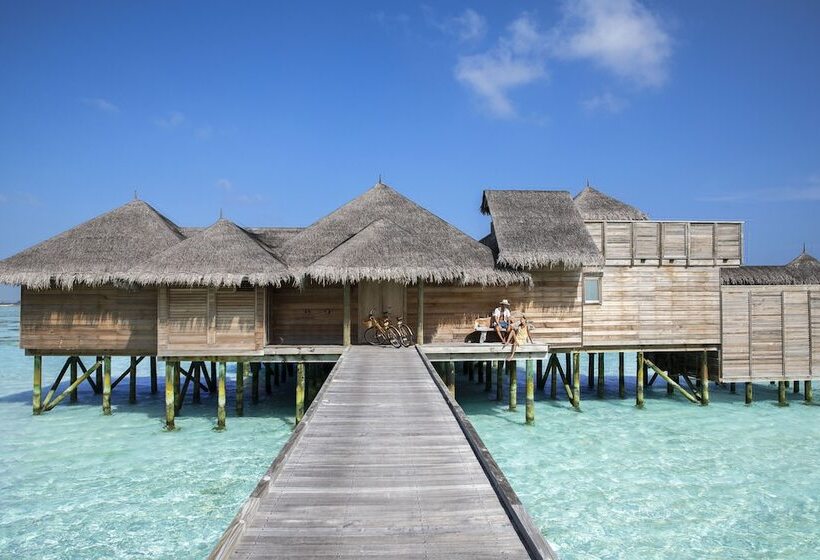 اتاق استاندارد, Gili Lankanfushi Maldives