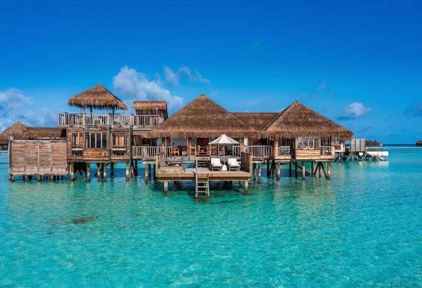 اتاق استاندارد, Gili Lankanfushi Maldives