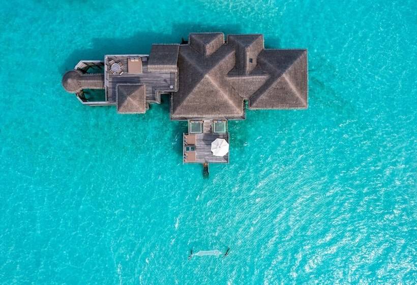 اتاق استاندارد, Gili Lankanfushi Maldives