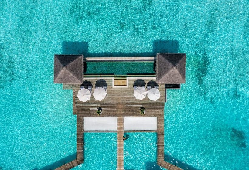 اتاق استاندارد, Gili Lankanfushi Maldives