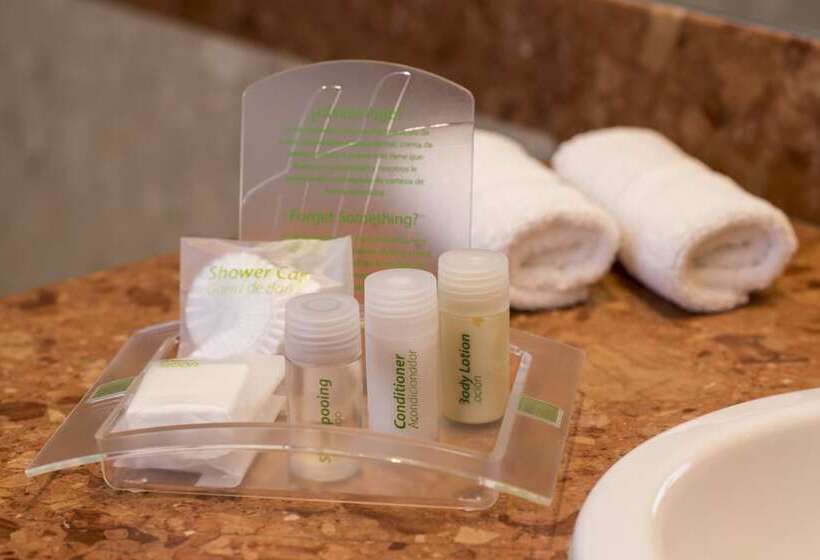 シングルデラックスルーム, Holiday Inn Cordoba, An Ihg