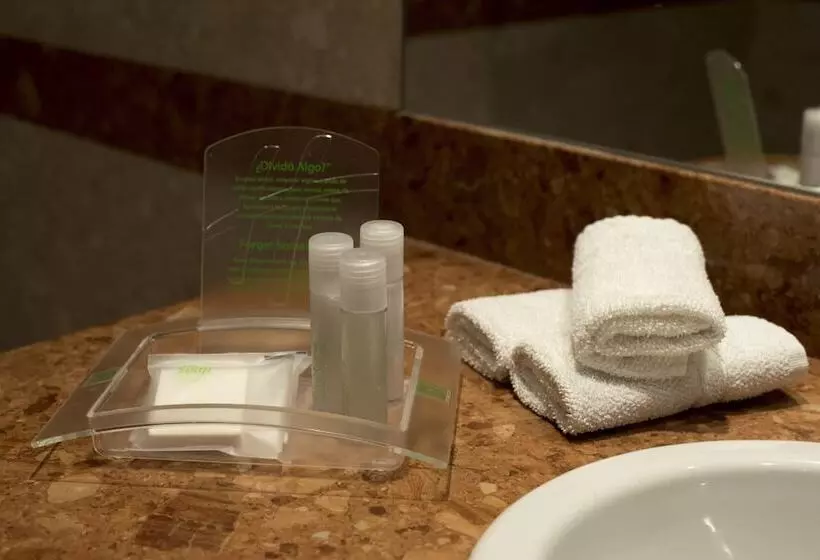 اتاق استاندارد با چشم‌انداز, Holiday Inn Cordoba, An Ihg