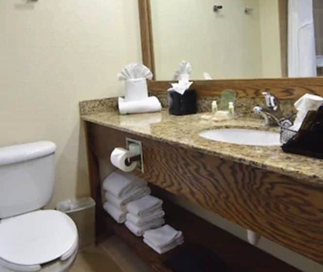 スタンダードルーム, Holiday Inn Fort Myers Downtown Area, An Ihg