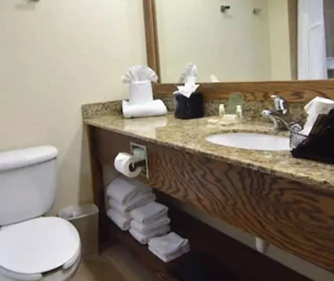 اتاق استاندارد, Holiday Inn Fort Myers Downtown Area, An Ihg