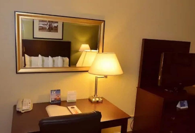 スタンダードルーム, Holiday Inn   Fort Myers   Downtown Area, An Ihg