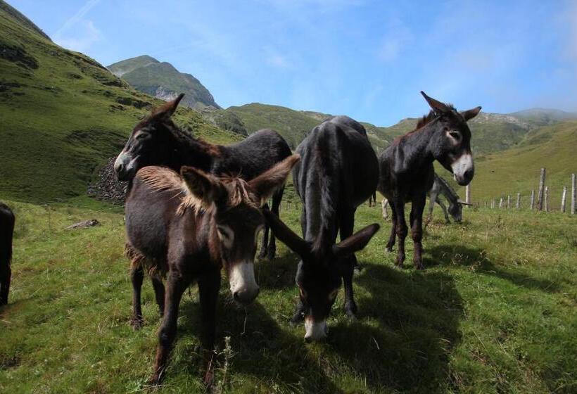Номер Стандарт, Hostellerie De La Poste