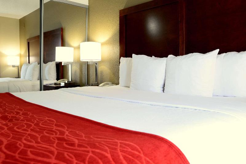 标准单人间, Reytan