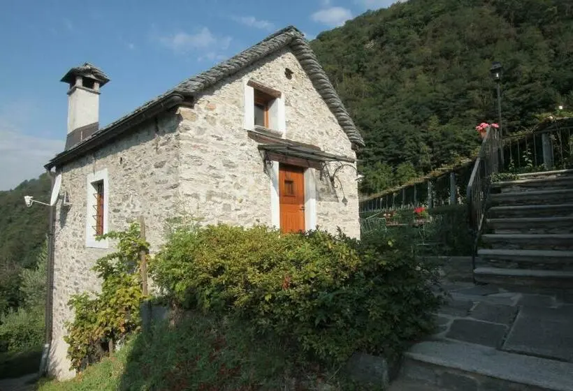 スイート, Fattoria L'amorosa