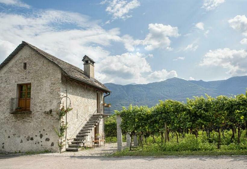 家庭间, Fattoria L'amorosa