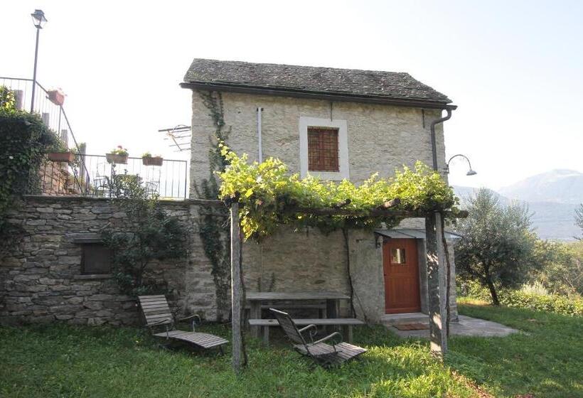 套房, Fattoria L'amorosa