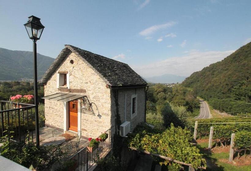 سوییت, Fattoria L'amorosa